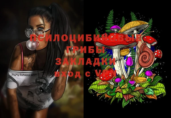 метадон Армянск